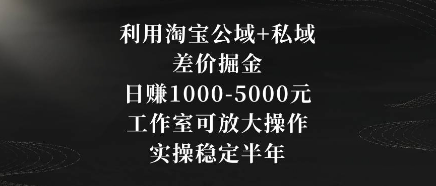 利用淘宝公域+私域差价掘金，日赚1000-5000元，工作室可放大操作，实操稳定半年【揭秘】-优品网赚资源库