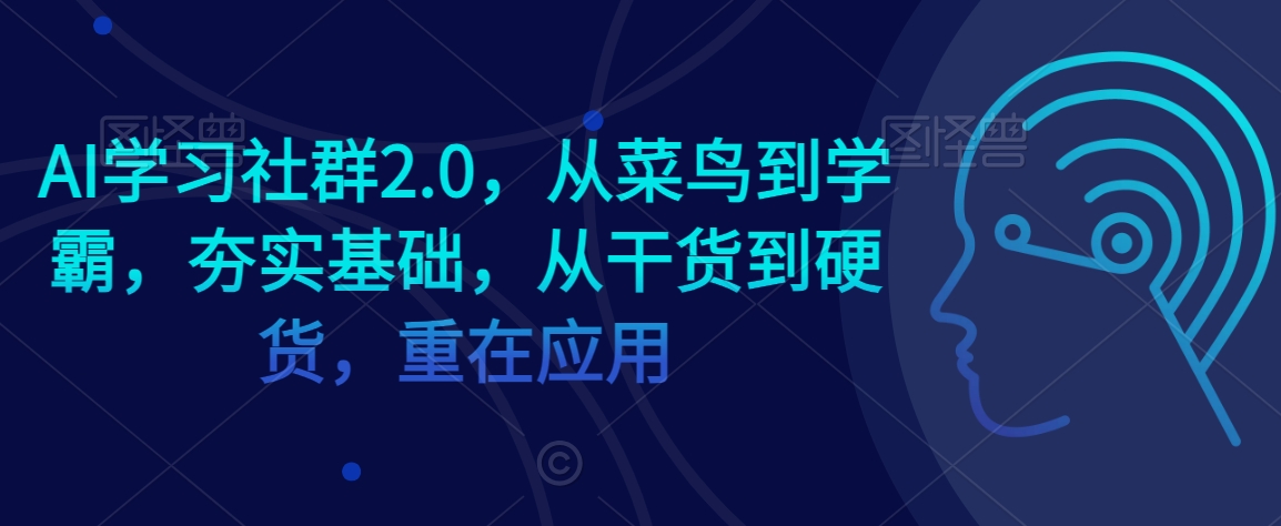 AI学习社群2.0，从菜鸟到学霸，夯实基础，从干货到硬货，重在应用-优品网赚资源库