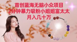 首创蓝海无脑小众项目，2分钟暴力吸粉小姐姐富太太，月入几十万【揭秘】-优品网赚资源库