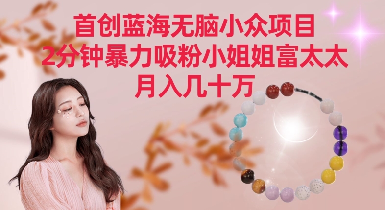 首创蓝海无脑小众项目,2分钟暴力吸粉小姐姐富太太,月入几十万【揭秘】-优品网赚资源库
