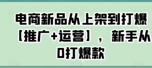 电商新品从上架到打爆【推广+运营】，新手从0打爆款-优品网赚资源库