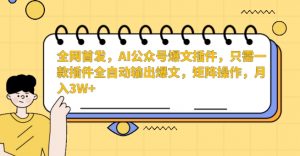 全网首发，AI公众号爆文插件，只需一款插件全自动输出爆文，矩阵操作，月入3W+【揭秘】-优品网赚资源库