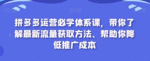 拼多多运营必学体系课,带你了解最新流量获取方法、帮助你降低推广成本-优品网赚资源库