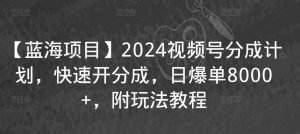 【蓝海项目】2024视频号分成计划，快速开分成，日爆单8000+，附玩法教程-优品网赚资源库
