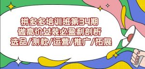 拼多多培训班第34期:做高价女装必盈利剖析选品/测款/运营/推广/拓展-优品网赚资源库