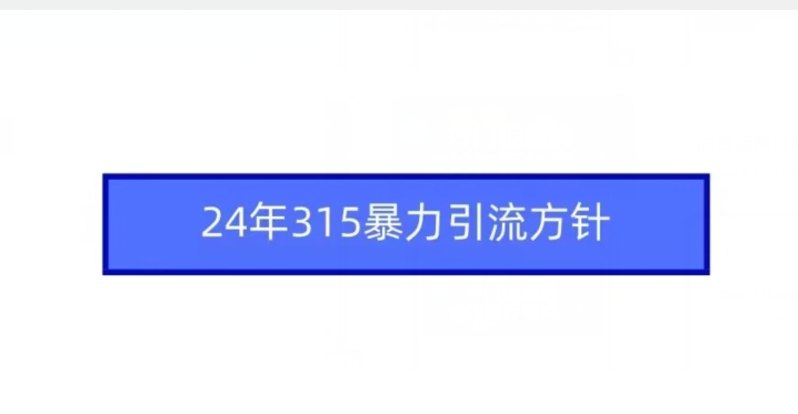 24年315暴力引流方针-优品网赚资源库