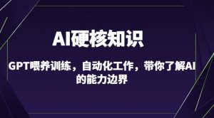 AI硬核知识-GPT喂养训练,自动化工作,带你了解AI的能力边界(10节课)-优品网赚资源库