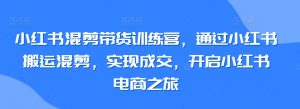 小红书混剪带货训练营，通过小红书搬运混剪，实现成交，开启小红书电商之旅-优品网赚资源库