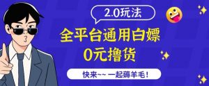 外面收费2980的全平台通用白嫖撸货项目2.0玩法【仅揭秘】-优品网赚资源库