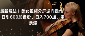 最新玩法！美女视频分屏逆向操作~日引600加色粉，日入700加，条条爆【揭秘】-优品网赚资源库