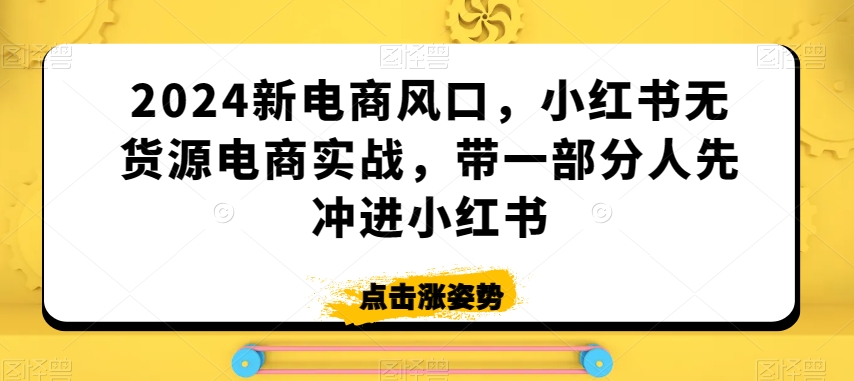 2024新电商风口，小红书无货源电商实战，带一部分人先冲进小红书-优品网赚资源库