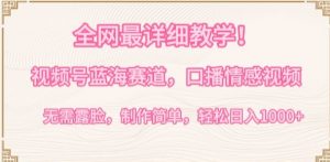 全网最详细教学，视频号蓝海赛道，口播情感视频，无需露脸，制作简单，轻松实现日入1000+【揭秘】-优品网赚资源库