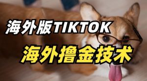 抖音海外版tiktok撸金技术，这个风口行业，赚钱真的不难【揭秘】-优品网赚资源库