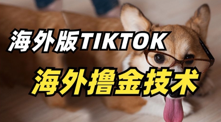 抖音海外版tiktok撸金技术，这个风口行业，赚钱真的不难【揭秘】-优品网赚资源库