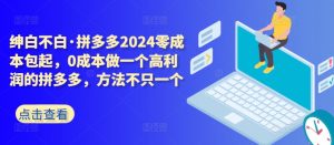 拼多多2024零成本包起，0成本做一个高利润的拼多多，方法不只一个-优品网赚资源库
