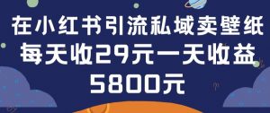 在小红书引流私域卖壁纸每张29元单日最高卖出200张(0-1搭建教程)【揭秘】-优品网赚资源库