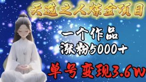 天选之人炼金项目,一个作品涨粉5000+,单号变现3.6w【揭秘】-优品网赚资源库