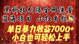 蓝海项目!黑科技引爆全网流量小红书拉新，单日暴力收益7000+，小白也能轻松上手【揭秘】-优品网赚资源库