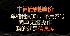 中间商赚差价，一单纯利润30+，简单无脑操作，赚的就是信息差，轻轻松松日入1000+【揭秘】-优品网赚资源库