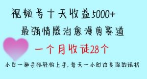 十天收益5000+，多平台捞金，视频号情感治愈漫剪，一个月收徒28个，小白一部手机轻松上手【揭秘】-优品网赚资源库