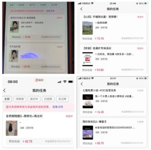 2024年3月最新，快手磁力聚星全流程实操教学，8台手机日均收益稳定100~200元【揭秘】-优品网赚资源库