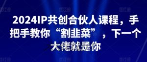 2024IP共创合伙人课程，手把手教你“割韭菜”，下一个大佬就是你-优品网赚资源库
