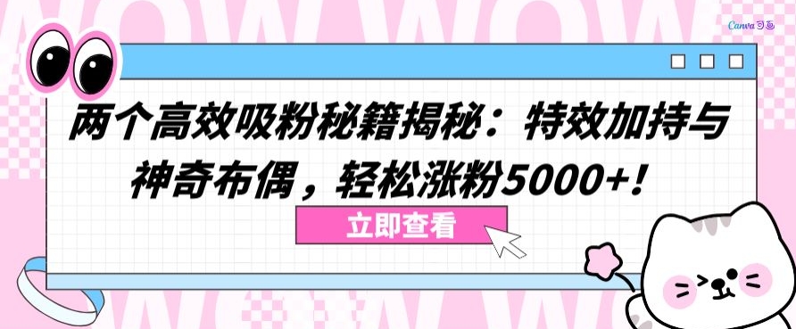 两个高效吸粉秘籍揭秘：特效加持与神奇布偶，轻松涨粉5000+【揭秘】-优品网赚资源库