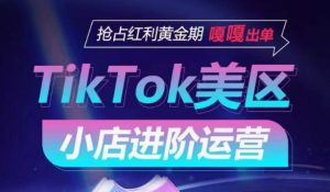 TikTok Shop美区小店进阶运营，抢占红利黄金期 嘎嘎出单-优品网赚资源库
