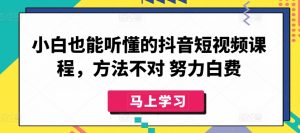 小白也能听懂的抖音短视频课程,方法不对 努力白费-优品网赚资源库