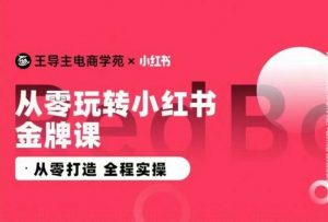 王导主·小红书电商运营实操课,从零打造 全程实操-优品网赚资源库