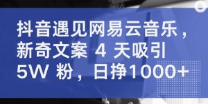 抖音遇见网易云音乐，新奇文案 4 天吸引 5W 粉，日挣1000+【揭秘】-优品网赚资源库