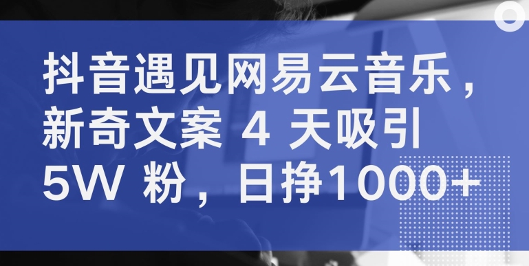 抖音遇见网易云音乐，新奇文案 4 天吸引 5W 粉，日挣1000+【揭秘】-优品网赚资源库