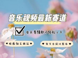 音乐视频赛道最新玩法，纯原创不违规，可所有平台同时发布，会点剪辑即可轻松拿捏【揭秘】-优品网赚资源库