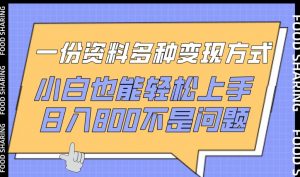 一份资料多种变现方式，小白也能轻松上手，日入800不是问题【揭秘】-优品网赚资源库