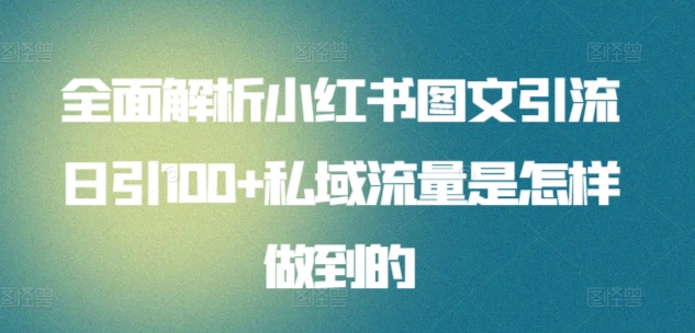 全面解析小红书图文引流日引100+私域流量是怎样做到的【揭秘】-优品网赚资源库