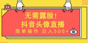 无需露脸，Ai头像直播项目，简单操作日入500+【揭秘】-优品网赚资源库