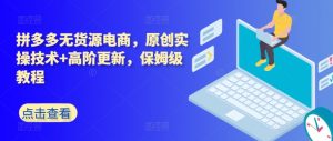 拼多多无货源电商，原创实操技术+高阶更新，保姆级教程-优品网赚资源库