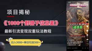 一千个野路子信息差最新玩法教程-变现+引流的玩法具体拆解【揭秘】-优品网赚资源库