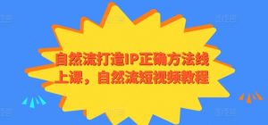 自然流打造IP正确方法线上课,自然流短视频教程-优品网赚资源库
