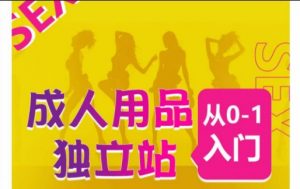 成人用品独立站从0-1入门,成品独立站运营全流程教学,七大好卖成品独立站推荐-优品网赚资源库