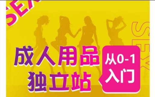 成人用品独立站从0-1入门,成品独立站运营全流程教学,七大好卖成品独立站推荐-优品网赚资源库