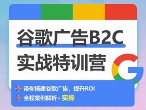 谷歌广告B2C实战特训营，500+谷歌账户总结经验，实战演示如何从0-1搭建广告账户-优品网赚资源库