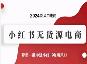 2024新风口电商，小红书无货源电商，带第一批冲进小红书电商风口-优品网赚资源库