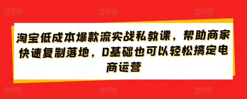 淘宝低成本爆款流实战私教课，帮助商家快速复制落地，0基础也可以轻松搞定电商运营-优品网赚资源库