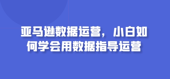 亚马逊数据运营,小白如何学会用数据指导运营-优品网赚资源库