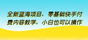 全新蓝海项目，零基础快手付费内容教学，小白也可以操作【揭秘】-优品网赚资源库