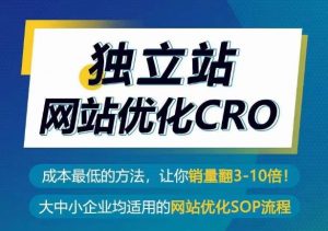 独立站网站优化CRO,成本最低的方法,让你销量翻3-10倍-优品网赚资源库