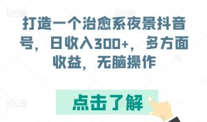 打造一个治愈系夜景抖音号，日收入300+，多方面收益，无脑操作【揭秘】-优品网赚资源库