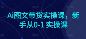 Ai图文带货实操课，新手从0-1 实操课-优品网赚资源库