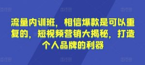 流量内训班,相信爆款是可以重复的,短视频营销大揭秘,打造个人品牌的利器-优品网赚资源库